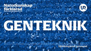 Genteknik förklarad  BIOLOGI  Gymnasienivå [upl. by Nnaul60]