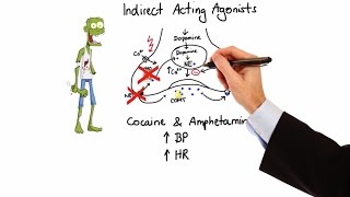 Pharmacology  ADRENERGIC RECEPTORS amp AGONISTS MADE EASY [upl. by Rauch793]