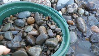 Gold Prospecting Western Washington State [upl. by Pallua939]