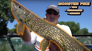 Summer Pike Fishing Tips [upl. by Ynnel135]