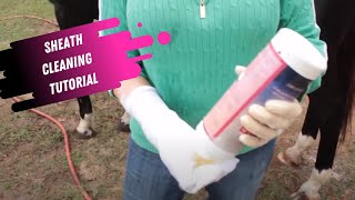 Sheath Cleaning Tutorial for Horses [upl. by Franzoni]