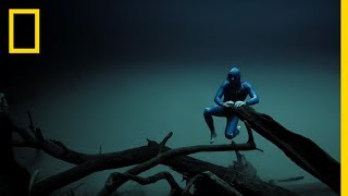 Experience the Underwater World Through the Eyes of a Free Diver  Short Film Showcase [upl. by Notsrik902]