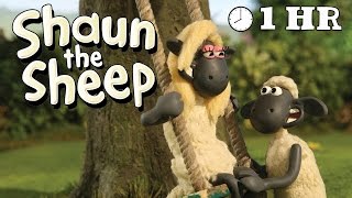 Shaun the Sheep Season 1  Episodes 3140 1 HOUR [upl. by Dev]