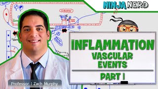 Immunology  Inflammation Vascular Events Part 1 [upl. by Durante]