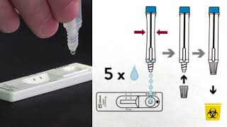 Rapid antigen screening [upl. by Orten]