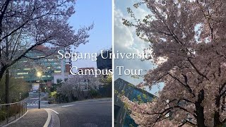 Sogang University Campus Tour  cherry blossoms daynight [upl. by Tad]