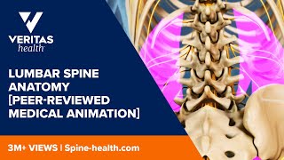 Pedicle Identificationspine surgery [upl. by Indihar115]