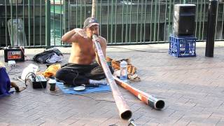 awesome didgeridoo playing australia [upl. by Eelrebmyk]