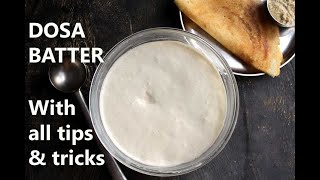 DOSA BATTER RECIPE  HOW TO MAKE DOSA BATTER  HOME with tips and tricks [upl. by Eikcid]