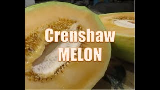 Unusual food  47 Crenshaw Melon [upl. by Eckel]