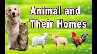 Animals and Their Home Names for Kids [upl. by Asilef106]