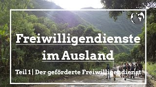 Freiwilligendienste im Ausland  Freiwilligenarbeitde [upl. by Rybma]