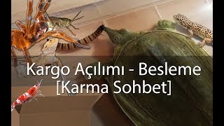 Paket Açılımı  Besleme VLOG  Agresif Kaplumbağa  Karidesler  Akrep vs [upl. by Radmilla]