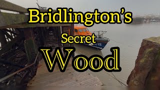 Bridlington [upl. by Rancell]