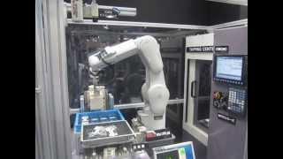 Mitsubishi Electric F Series Robot Machine Tending [upl. by Leira8]