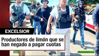 Crimen organizado corta árboles de limoneros en Michoacán [upl. by Anirret]