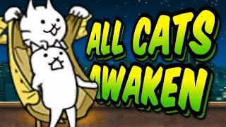 SO MANY TRUE FORMS  Awakens Specials Stages  Battle Cats 27 [upl. by Anatnahs]