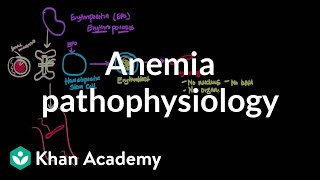 Anemia pathophysiology  Hematologic System Diseases  NCLEXRN  Khan Academy [upl. by Dirraj143]