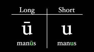 The Latin Alphabet  Vowel Pronunciation [upl. by Izawa]