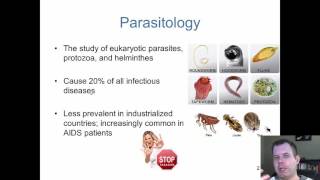 Chapter 23  The Parasites of Medical Importance [upl. by Ridley]