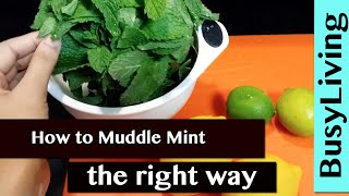 How to Muddle Mint  the right way [upl. by Llehsim201]