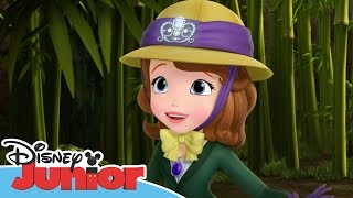 Sofia the First  Stronger Than You Know  Official Disney Junior Africa [upl. by Annuaerb]