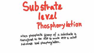 Glycolysis substrate level phosphorylation [upl. by Yggam]