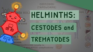 Helminths Cestodes and Trematodes transmission clinical importance and treatment [upl. by Adnamal93]