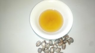 How to make castor oil at home [upl. by Animas]