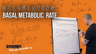 Calculating Basal Metabolic Rate BMR [upl. by Avlem452]