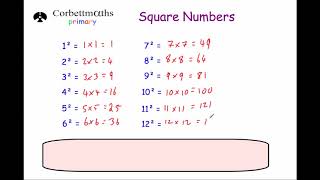 Square Numbers  Primary [upl. by Vorfeld364]