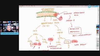 A Guide To Omega 3 Fatty Acids [upl. by Nnednarb669]