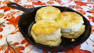 2 Ingredient Biscuits  The Hillbilly Kitchen [upl. by Adnahcal620]