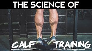 How To Build Calves Fast  Scientifically Backed [upl. by Tillman]