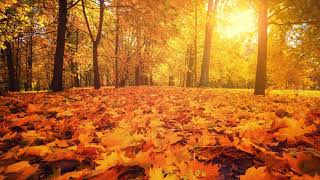 Autumn Days – Primary School Hymn [upl. by Cecelia]