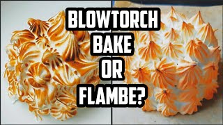 Perfect Baked Alaska  Blowtorch Baked Flambe  Best way to cook [upl. by Nalyr]