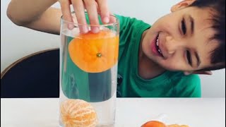 Floating orange experiment  easy kids experiment [upl. by Ahsieit324]