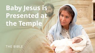 Luke 2  The Christ Child Is Presented at the Temple  The Bible [upl. by Aiksas19]