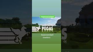 Pegastouristikgolf [upl. by Barde]