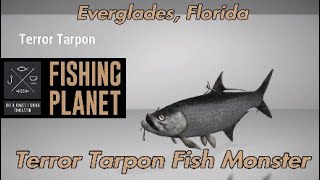 Terror Tarpon Fish Monster  Everglades Florida  Fishing Planet Guide [upl. by Berton]