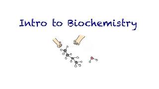 Introduction to Biochemistry [upl. by Missie]