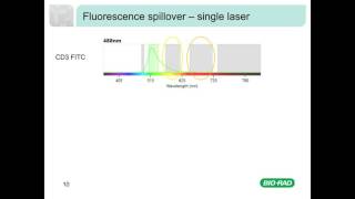 Fluorescence and Compensation in Flow Cytometry [upl. by Tigdirb]