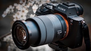 Sony 18135 Full Frame Test [upl. by Heppman]