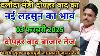 दलौदा मंडी दोपहर बाद का नई लहसुन का भाव 03 फरवरी 2025 new ooty garlic rate today daloda Mandi [upl. by Hewie]