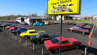 Classic Muscle Car Lot 4521 Update Maple Motors New Inventory [upl. by Xirtaeb]