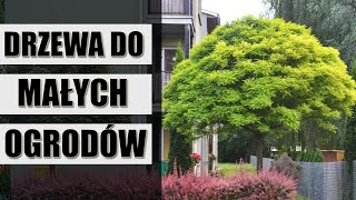 Najładniesze drzewa do małych ogrodów [upl. by Taveda]