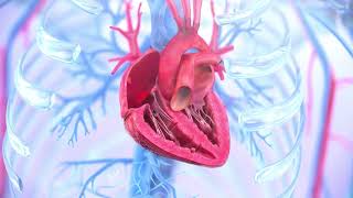 Tricuspid regurgitation symptoms causes and treatment  Animation [upl. by Assert932]