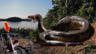 7 Real Titanoboa Snake Sightings Ever Found [upl. by Giannini]