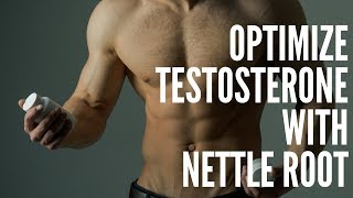 Optimizing Testosterone with Nettle Root [upl. by Particia]