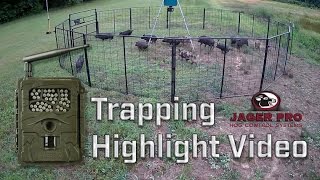 Wild Hog Trapping  Hog Trapping Video Highlight  JAGER PRO™ [upl. by Alidis211]